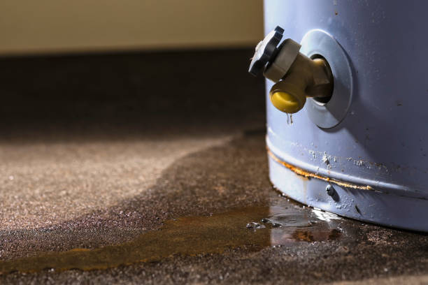Best Fire Damage Restoration  in Seffner, FL