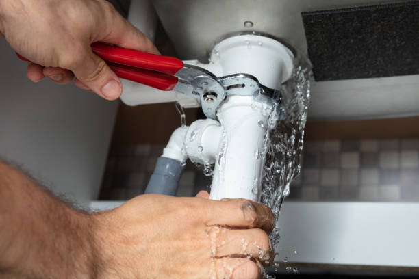 Best Water damage cleanup near me  in Seffner, FL