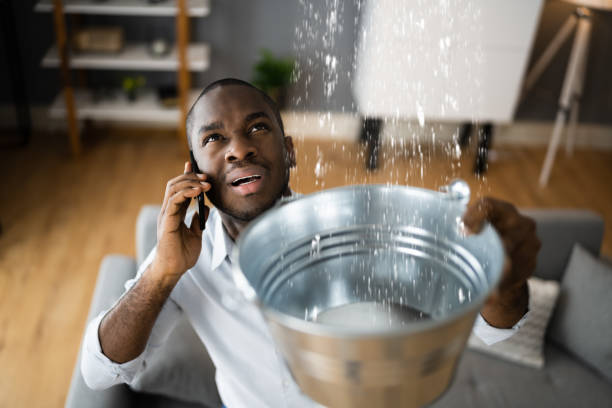 Best Carpet water damage restoration  in Seffner, FL