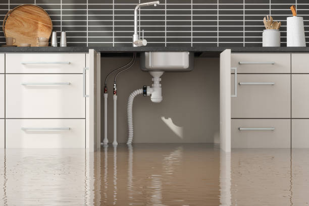 Best Commercial water damage restoration  in Seffner, FL