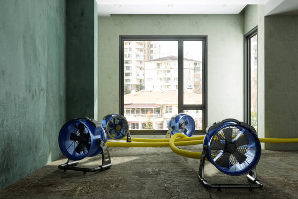 Best 24/7 water damage repair  in Seffner, FL