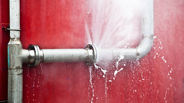 Best Residential water damage restoration  in Seffner, FL