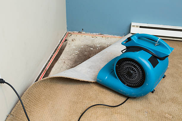 Best 24-hour water damage restoration  in Seffner, FL